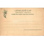Szepesbéla, Szepes-Béla, Spisská Belá (Szepes, Zips); Fő tér, Gyógyszertár, üzletek. Feitzinger Ede 560. 1902/12. ...