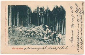 1899 Szliács, Sliac (?); favágók. Lechnitzky O. kiadása (Besztercebánya) / lumberjacks (gyűrődés / crease...