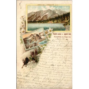 1901 Tátra, Magas-Tátra, Vysoké Tatry; Poprádi-tó, Majláth menedékház, Tengerszem-csúcs, zergék / Popper-See...