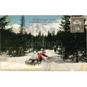 Tátra, Magas-Tátra, Vysoké Tatry; Téli élet, tobbogán, szánkó, téli sport / Wintersport in der hohen Tatra ...