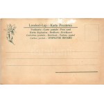 Tátra, Magas Tátra, Vysoké Tatry; Dunajeci hajózás, tutajok magyar zászlókkal. Feitzinger Ede Nr. 355. Kr. 1904/14. ...