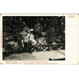 Tátra, Vysoké Tatry; Csorbai-tó mellett, Lajos forrás, határvonal Liptó és Szepes között. Feitzinger Ede 1902/12...