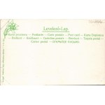 Várna, Trencsén-Várna, Varín; látkép a Varinka patakkal a Kárpátok felé, templom. Feitzinger Ede 632. A.J. 1904/14. ...