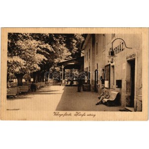 Vihnye, Vihnyefürdő, Kúpele Vyhne; Hársfa sétány, Nádorház, jegypénztár / promenade, spa, ticket office (EK...