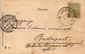 1905 Belovár, Bjelovar; Setaliste Marije Valerije, Kr. kot. sud. J. Fleischmann / utca / street + 
