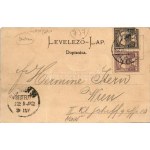 1902 Dálya, Dalja, Dalj; Gőzkomp Gombos és Erdőd között a Dunán, gőzmozdony kompra állítása. Phot. u. Verlag v...