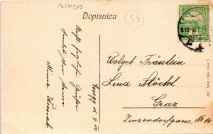 1910 Eszék, Essegg, Osijek; Zupanijka ulica / Comitatsgasse / utca, zsinagóga, gyógyszertár, piac, üzletek ...