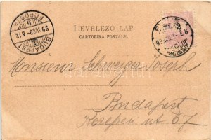 1899 (Vorläufer) Fiume, Rijeka; Hafen, Geschaftshaus Schambik, Rossbacher's Grand Hotel Europe / kikötő...