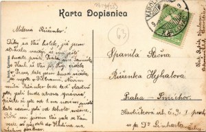 1908 Károlyváros, Karlovac; látkép. L. Reich kiadása / general view (EK)