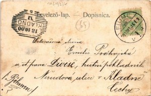 1900 Károlyváros, Karlovac; Pogled na Zrinjski trg / Zrínyi tér, David Kramer, Jos. Purebl üzlete. St. Jugovic kiadása ...