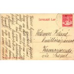 1917 Babapuszta, Aleksa Santic (Zombor); Fernbach kastély. Klösz György és Fia kiadása / castle (tűnyom / pinmark...