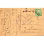 1914 Kevepallós, Plosica, Plocica, Ploschitz; Római katolikus templom. Tiszta jövedelem az orgona javára ...