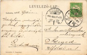 1908 Szabadka, Subotica; Raichl (Raichle) szecessziós palota. Sonnenfeld A. kiadása / Art Nouveau style palace (EK...