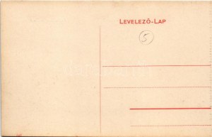 Versec, Werschetz, Vrsac; Ferenc József tér, J. C. Mitraschin, Petrowits & Pantits, Alex Dragits, Scherter üzlete ...