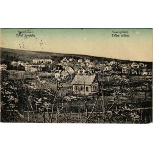 1912 Savanyúkút, Bad Sauerbrunn; Totalansicht / látké / general view (EK)