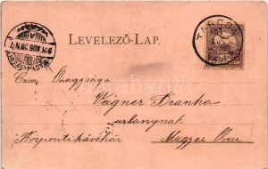 1901 Tarcsa, Tarcsafürdő, Bad Tatzmannsdorf; Mária villa, Gyógytér részlete, kollonád, Carolina villa / villa, spa...