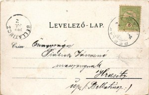 1905 Perlak, Prelog; Alsó-Muraközi Takarékpénztár, Muraköz szálloda, Sosterics Pál üzlete / savings bank, hotel, shop...