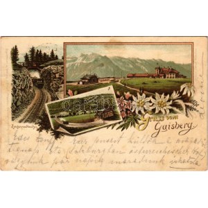 1893 Salzburg, Gruss vom Gaisberg, Zahnradbahn. Fried. Pflauder / cog-wheel railway. Art Nouveau, floral, litho (fl...