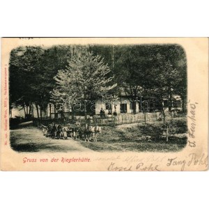 1900 Wien, Vienna, Bécs; Gruss von der Rieglerhütte (Penzing) / inn and tourist house, restaurant, horse...