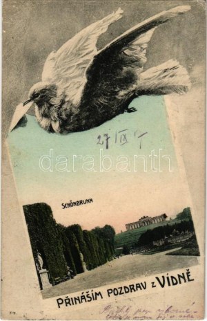 1907 Wien, Vienna, Bécs; Schönbrunn / Prinasím pozdrav z Vídne / royal castle park. Art Nouveau montage with dove...