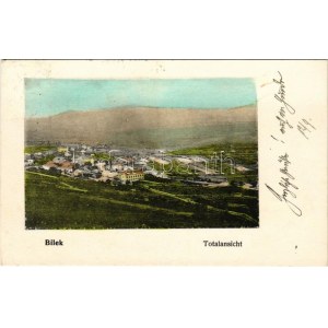 1906 Bileca, Bilek; Totalansicht / general view (EK)