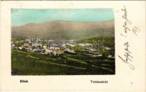 1906 Bileca, Bilek; Totalansicht / general view (EK)