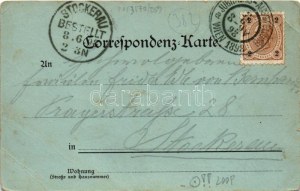 1898 Jajce. Ch. Reisser & M. Werther Art Nouveau, floral + 