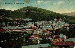 1914 Kalinovik, general view (worn corners)