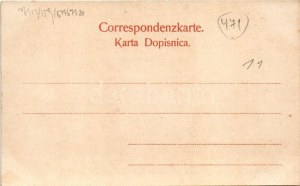 Sarajevo, Ferhadijagasse, Apotheke / street view, pharmacy, shops. J. Studnicka & Co. (fl)