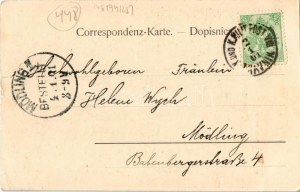 1901 Travnik, Vrtle i sumece mahala. Weiss & Dreykurs (Wien) / general view, castle + 