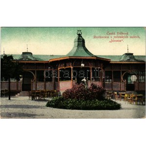 1915 Ceská Trebová, Böhmisch Trübau; Restaurace v mestskych sadech Javorce / restaurant in the city park, waitress (EK...