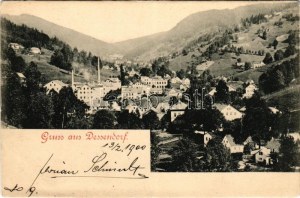 1900 Desná, Dessendorf; general view (fa)