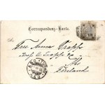 1895 (Vorläufer!!!) Karlovy Vary, Karlsbad; Gruss aus. Art Nouveau, floral, litho - early postcard! (EB...