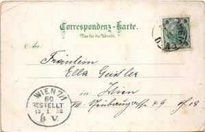 1902 Vidnava, Weidenau; Ruine Kaltenstein, Baron Gilgenheimbs Schloss / castle ruins, castle, square with shops...