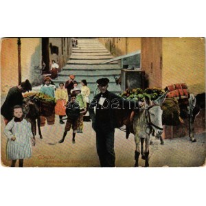 Gibraltar, Artichokes and Water Sellers, market (EK)