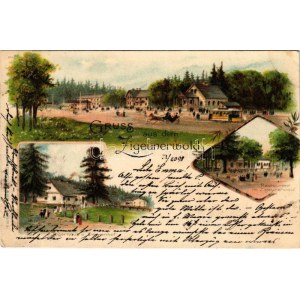 1898 Bielsko-Biala, Bielitz; Gruss aus dem Zigeunerwald. Jägerhaus u. Emmenhof, Restaurant / restaurant, hunting lodge...