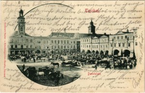 1900 Cieszyn, Teschen; Demelplatz / square, town hall, shop of Karl Prochaska, beer hall. Verlag Hutterer (Rb...