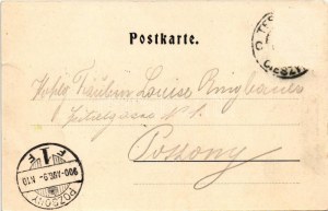 1900 Cieszyn, Teschen; Demelplatz / square, town hall, shop of Karl Prochaska, beer hall. Verlag Hutterer (Rb...