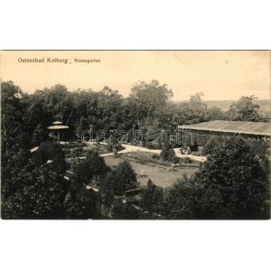 Kolobrzeg, Ostseebad Kolberg; Rosengarten. Siegmund Weil / rose garden