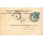 1903 Ostschlesierin. Ed. Feitzinger's Verlag (Cieszyn, Teschen) R3. / Folklore from East Silesia. Emb. litho (pinhole...