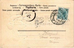 1903 Ostschlesierin. Ed. Feitzinger's Verlag (Cieszyn, Teschen) R3. / Folklore from East Silesia. Emb. litho (pinhole...