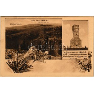 1913 Prudnik, Neustadt OS; Hohe Haide, Schäferei, Südansicht. Gebr. Hillebrandt / view, mountain, lookout tower...