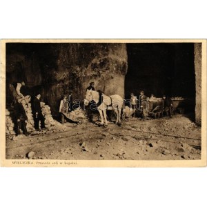 1935 Wieliczka, Przewóz soli w kopalni / salt mine, horse, mine cars, interior (tear)