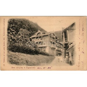 1902 Zegiestów, Dom zdrojowy / spa house