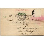 1899 Friedrichsruh, Transparentpostk. Meteor / locomotive. litho (Rb)