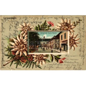 1907 Germersheim, Ludwigstrasse, Kaserne Seyssel. Verlag C. Hahn / street view, German military barracks...