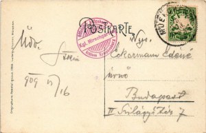 1909 München, Munich; Hirschfütterungen, Partie aus dem Hirschgarten in Nymphenburg. Ludwig Zrenner / deer garden...