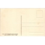 1911 Torino, Turin; Esposizione Internazionale, Panorama visto dal Padiglione della Russia / International Exhibition...