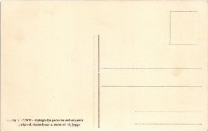 1911 Torino, Turin; Esposizione Internazionale, Panorama visto dal Padiglione della Russia / International Exhibition...