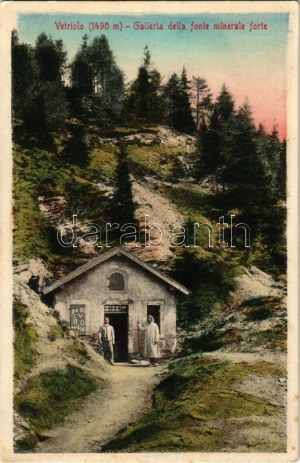 Vetriolo, Valsugana; Galleria della fonte minerale forte. Stengel & Co. / spring source (EK)